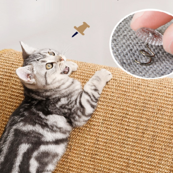 Tappetino per proteggere l'arredamento dai graffi dei gatti – Vitafacile  shop