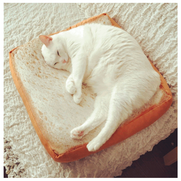 Cuscino a forma di fetta di toast per gatti – Vitafacile shop