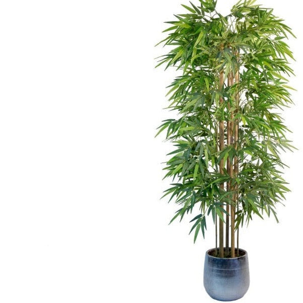 Piante artificiali “bamboo con tronco naturale”
