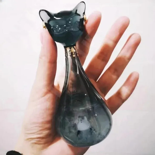 Bottiglia decorativa a forma di gatto per previsioni meteo