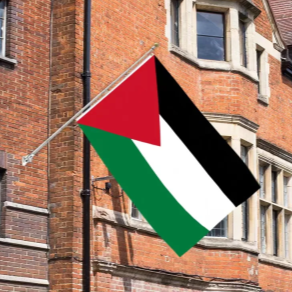 Bandiera decorativa della Palestina
