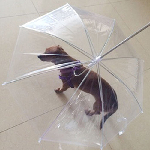 Ombrello per cani con guinzaglio integrato