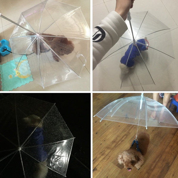 Ombrello per cani con design trasparente