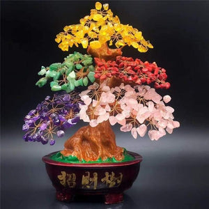 Bonsai ornamentale per ricchezza - Vitafacile shop