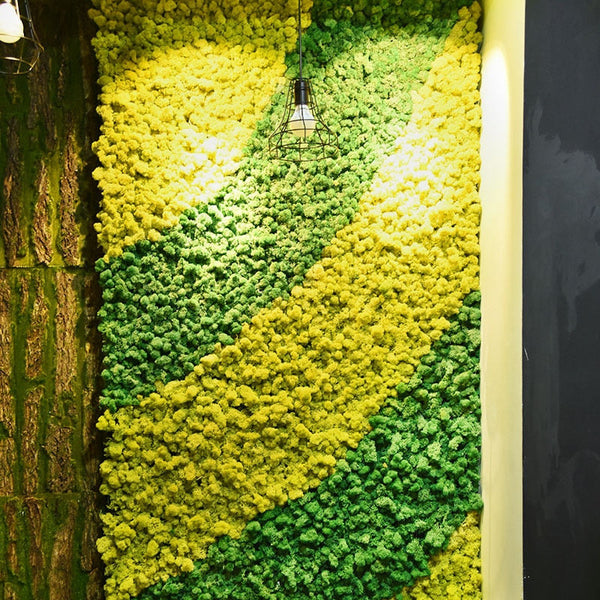 Muschio artificiale decorazione da parete