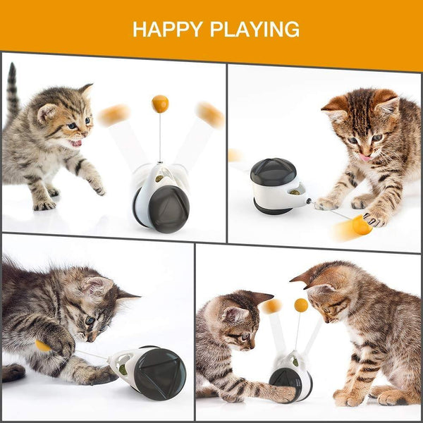 Gioco gatti palla rotolante - Vitafacile shop