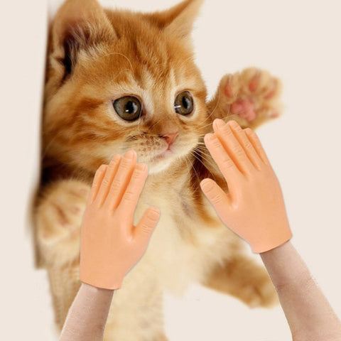 Mini guanti massaggianti per gatti