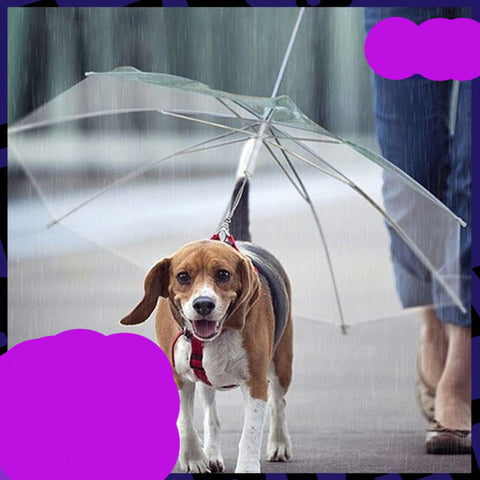 Ombrello per cani con guinzaglio regolabile