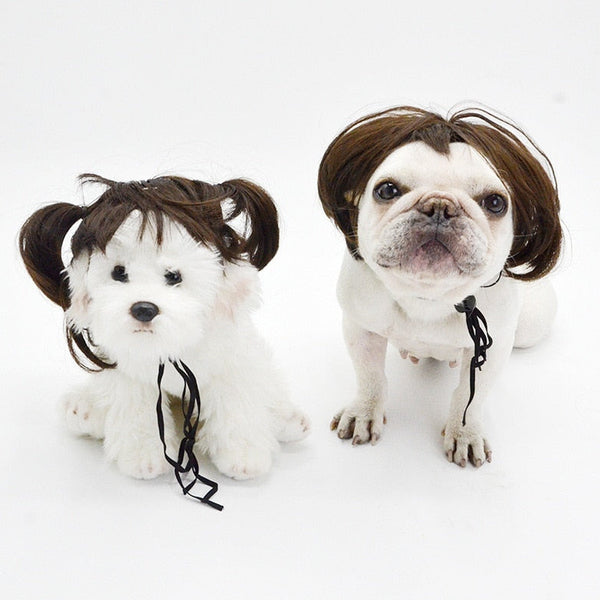 Parrucca cosplay per animali domestici