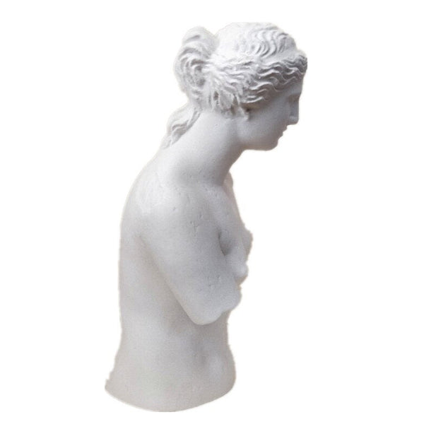 Busto di Venere senza braccia per decorazione interni