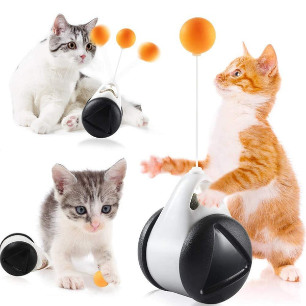 Gioco gatti palla rotolante - Vitafacile shop