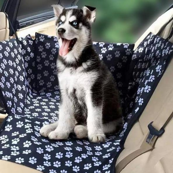 Trasportino Kennel cani per auto resistente all'acqua - Vitafacile shop