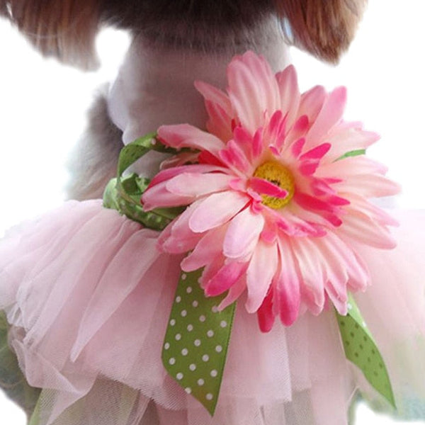 Vestiti con design floreali per cani
