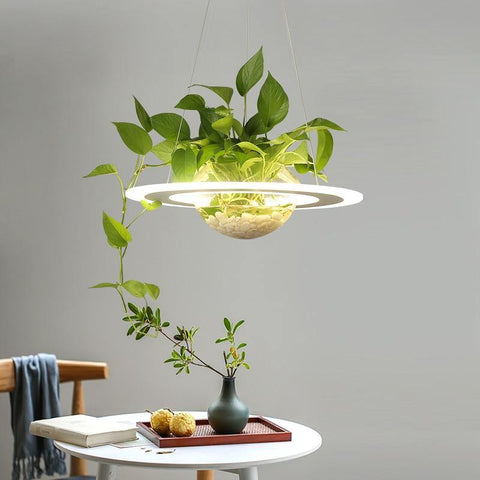 Oggetti per la casa particolari pianta e lampada a sospensione - Vitafacile shop