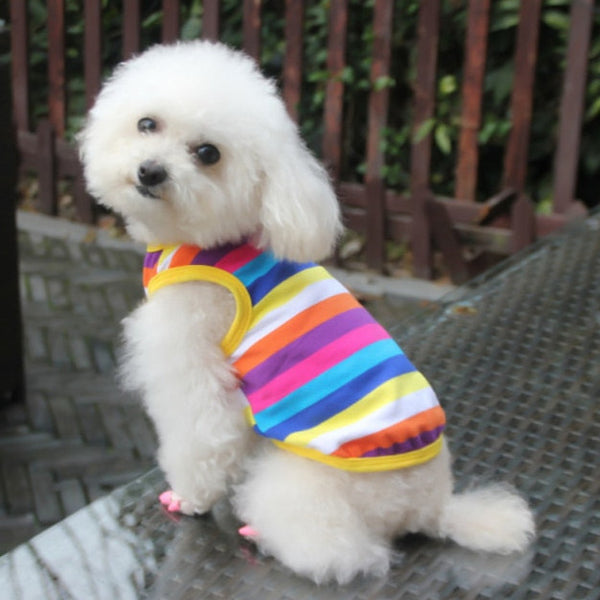 Vestiti con design floreali per cani