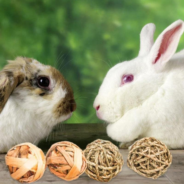 Palline naturali per conigli, criceti, roditori, pappagalli e gatti (9 pezzi) - Vitafacile shop