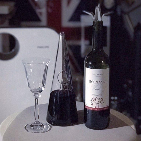 Oggetti per la casa particolari decanter vino 350ml/750ml - Vitafacile shop