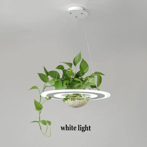 Oggetti per la casa particolari pianta e lampada a sospensione - Vitafacile shop