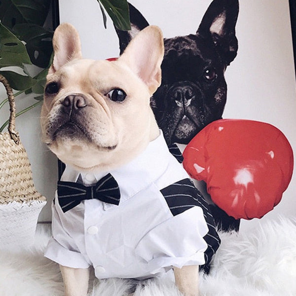 Costume da sposo per cani
