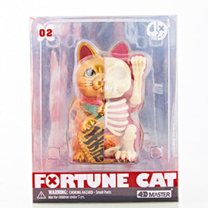 Statuetta di gatto modello anatomico 4D -Lucky cat-