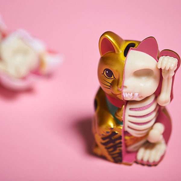 Statuetta di gatto modello anatomico 4D -Lucky cat-