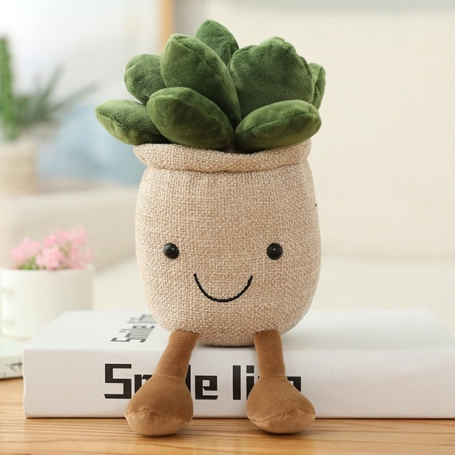 Decorazione casa - Peluche vaso Piante grasse Cactus – Vitafacile shop