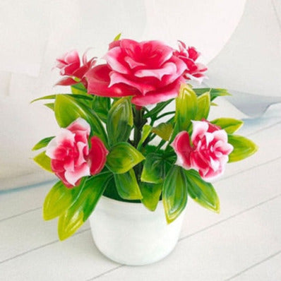 Piantine artificiali “bonsai mix aloe, pino giapponese, fiori variegati” con vaso