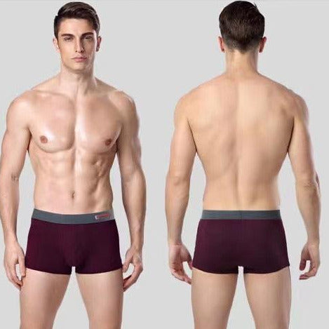 4Pcs/Lot Men&#39;s Underwear Men Boxer Man Cotton Shorts Male Brand Knickers men Fashion Printed Breathable Boxer Shorts L-3XL Size - Vitafacile shop
