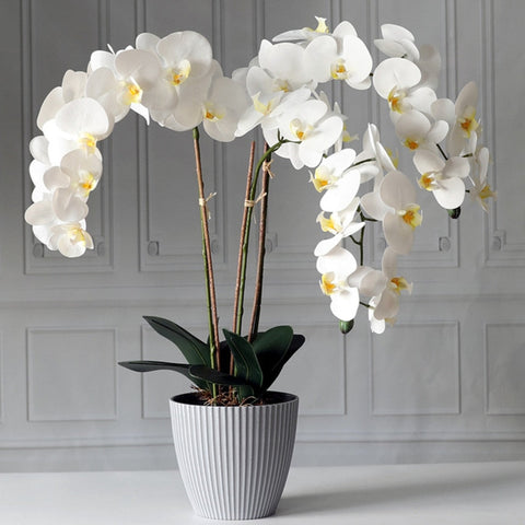 Fiori artificiali “bouquet orchidee Phalaenopsis di seta” per decorazione