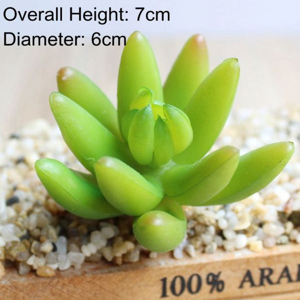 Pianta grassa artificiale “bonsai agave specie diverse”