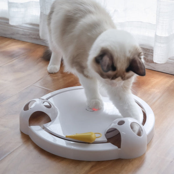 Disco giocattolo interattivo per gatti